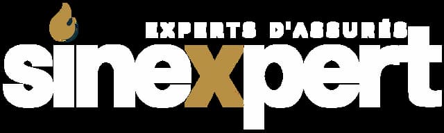 Sinexpert